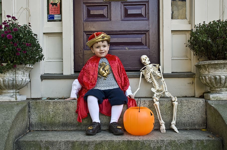 dia das bruxas, outono, traje, esqueleto, abóbora, outubro, férias, assustador, laranja, sazonal