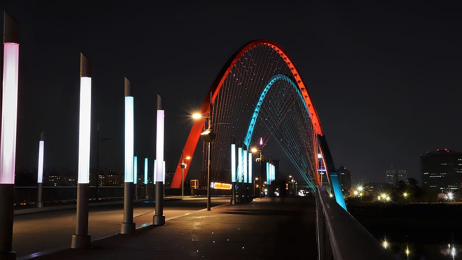 suspension bridge, nighttime, expo, bridge, war, daejeon, korea, republic of korea, south korea's, korean