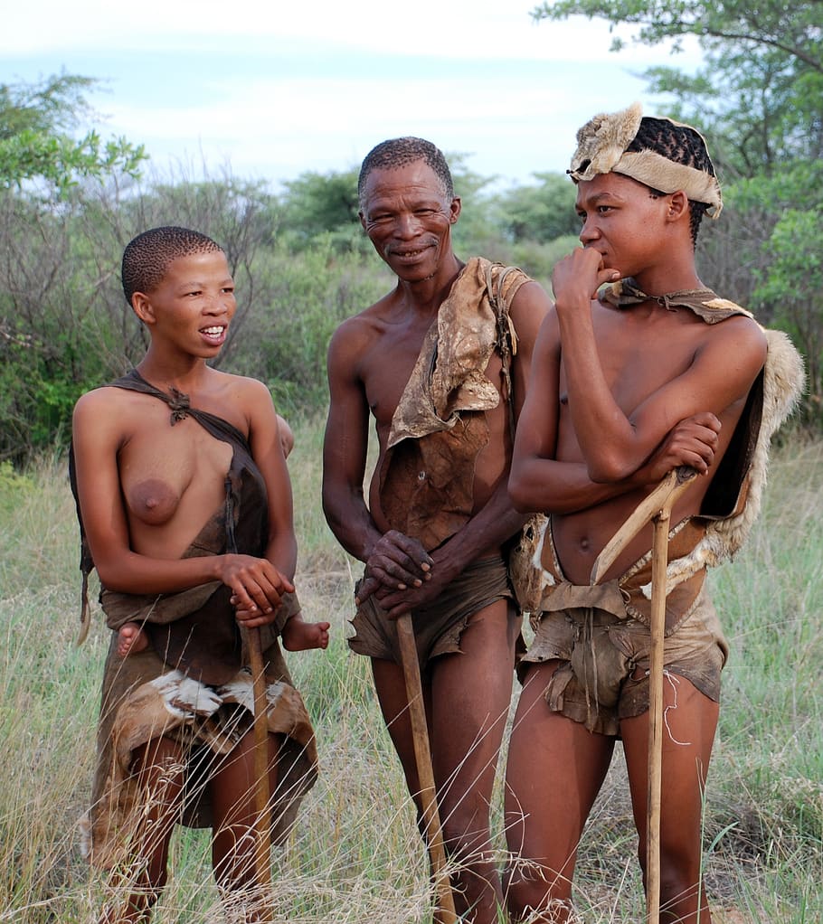 bosquímano, índio, caçador coletor, san, botswana, áfrica, homem, negro, três, sem camisa
