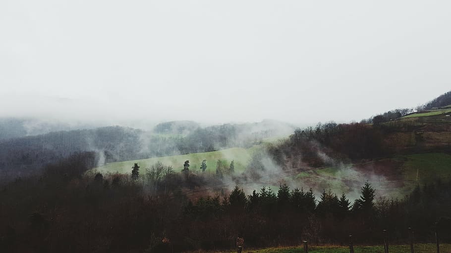 landscape photography, foggy, mountain, trees, nature, landscape, green, fog, aerial, top