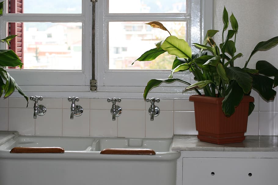 closed, faucets, pot, plant, kitchen sink, cranes, white, metal, green, potted plant