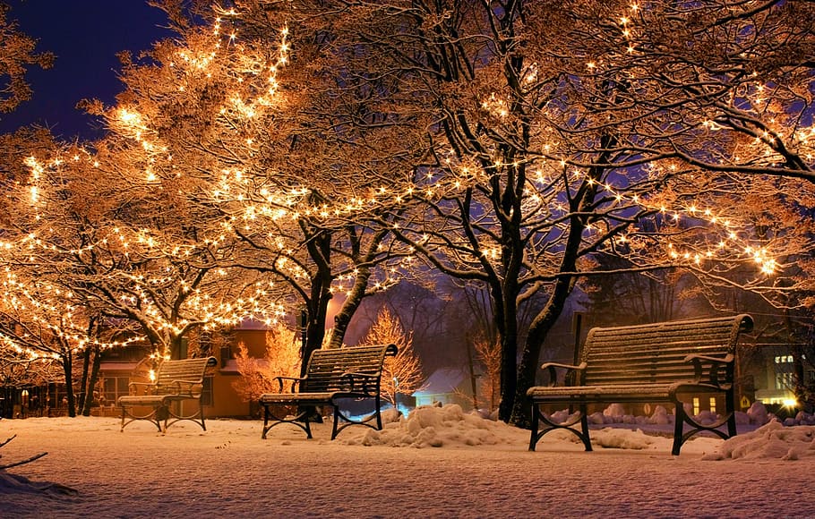 yellow, string lights, night time, bank, christmas, light, tree, seat, bench, winter