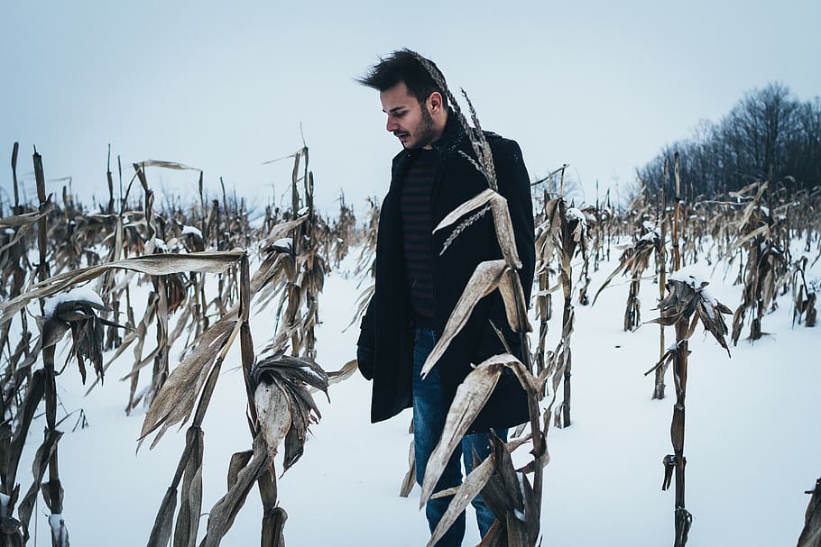 people, man, field, snow, winter, cold, weather, white, fashion, jacket