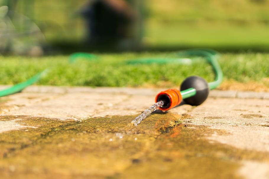 water, clean, purely, hose, garden hose, irrigation, casting, selective focus, nature, grass