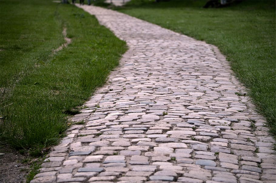 bricks pathway, green, grass, gray, concrete, brick, pathway, cobblestone, path, footpath
