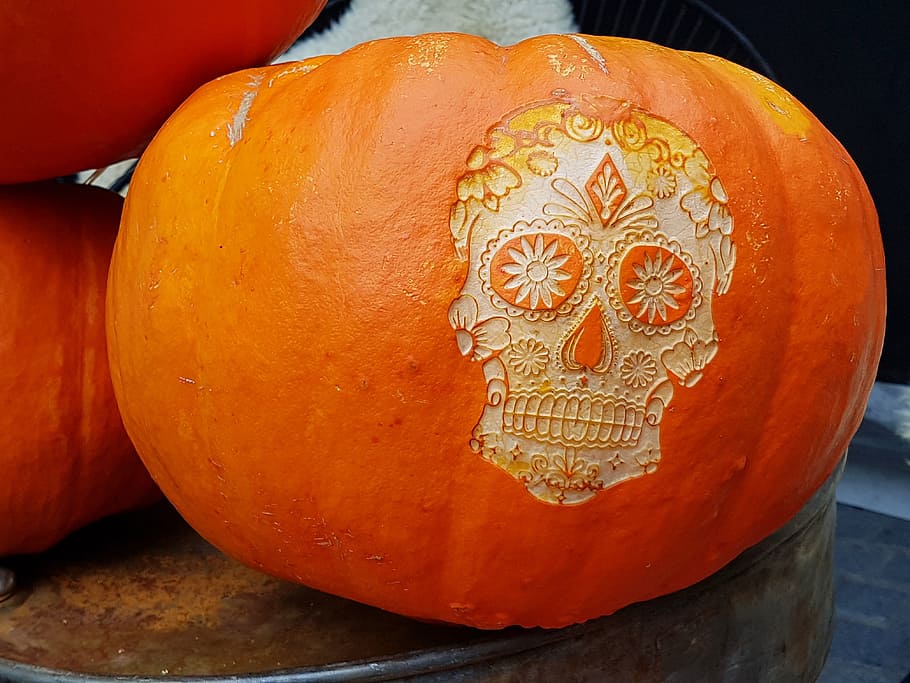 pumpkin, halloween, skull, autumn, gourd, deco, pumpkin decoration, pumpkins autumn, celebrate halloween, halloweenkuerbis