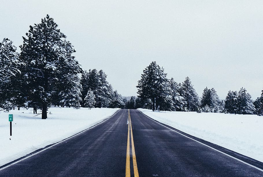 carretera, al lado, nieve, cubierto, paisaje, viajar, aventuras, árboles, frío, clima