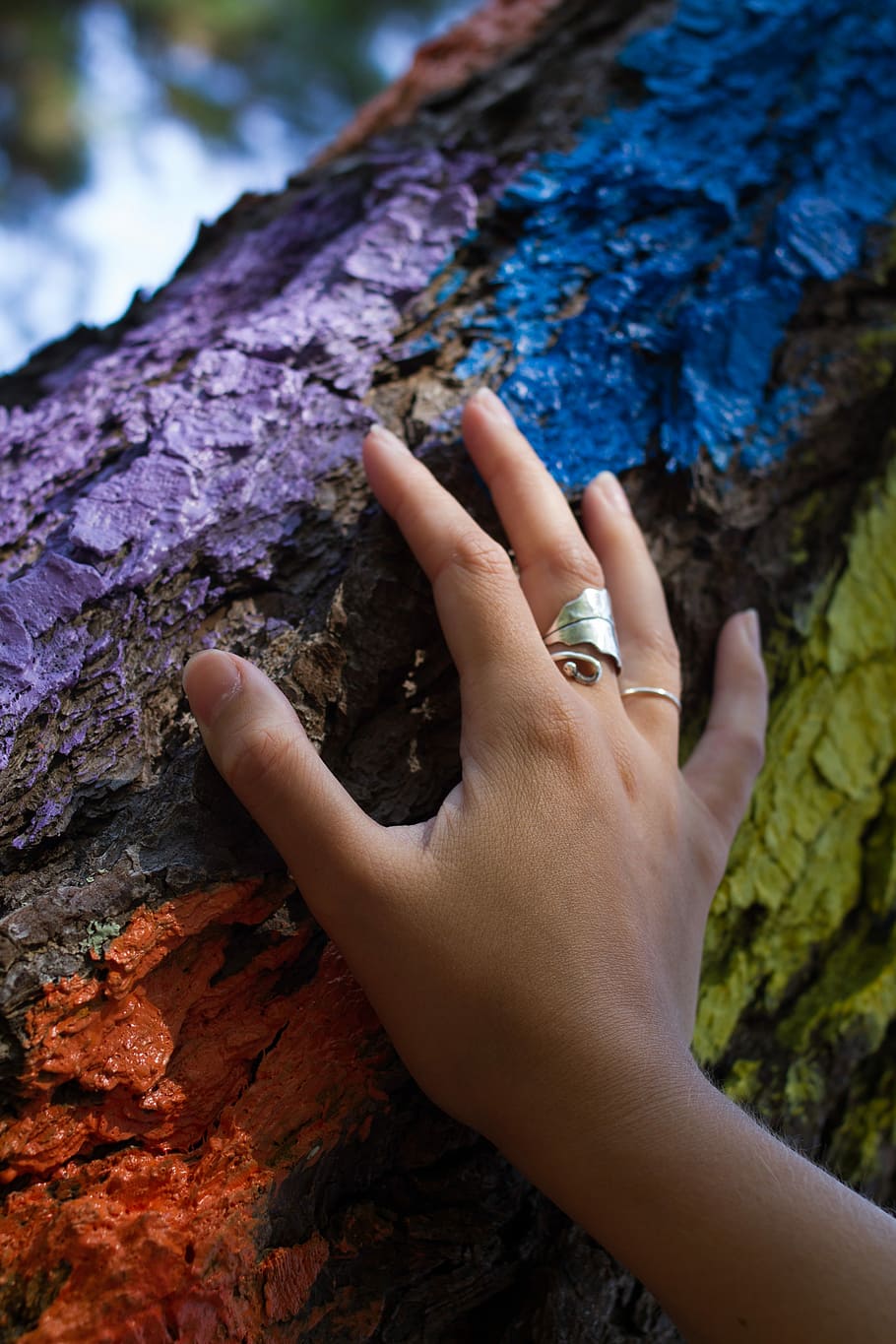 Oma, árbol, bosque, pintado, mano, naturaleza, dedos, vizcaya, bilbao, mujeres