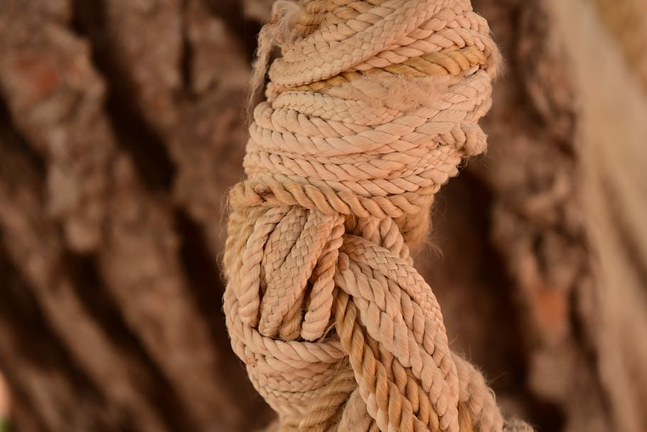 Rope, Knot, Close, Knitting, Dew, Fixing, cordage, connection, twisted ropes, strand