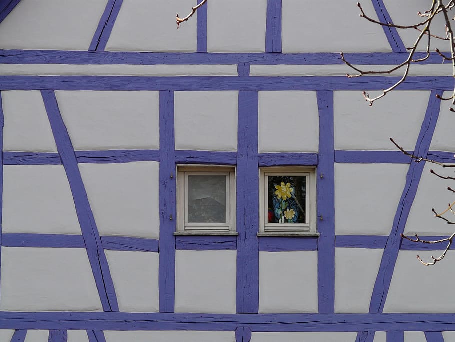 fachwerkhaus, truss, building, architecture, wood, window, bar, purple, home, facade