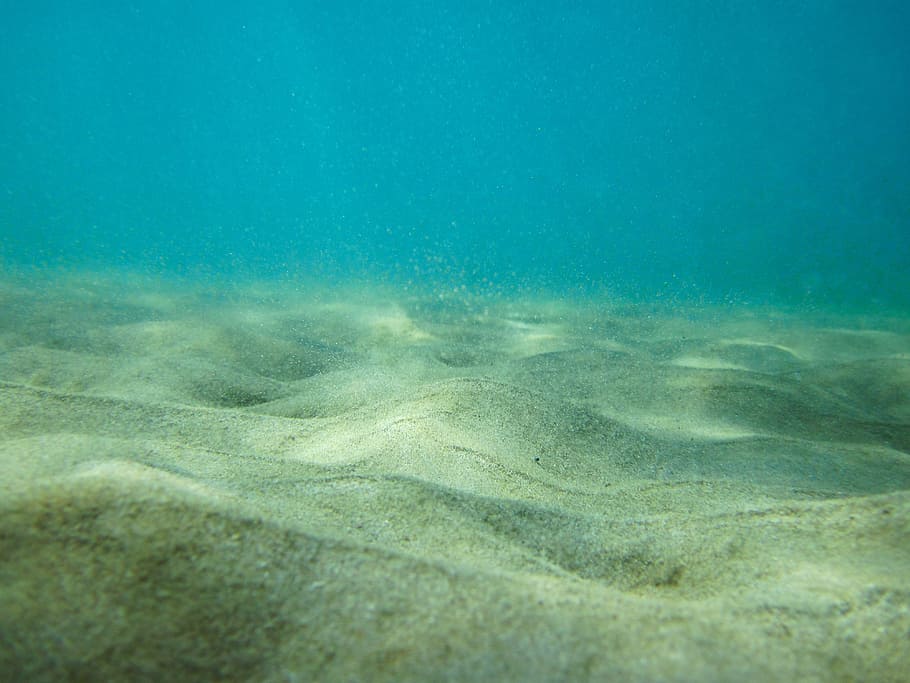 underwater photograph, brown, sand, underwater, background, blue, floor, ocean, sea, seabed