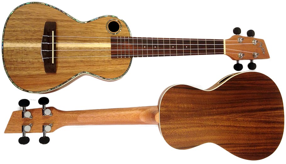 brown 4-string ukulele, ukuleles, wood, acoustic, strings, fretted, musical instrument, hawaii, music, concert