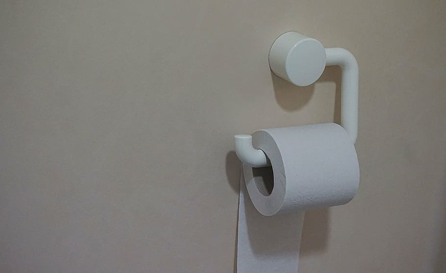 toilet paper, white, holder, paper, tissue, roll, tissue holder, toilet, wall, hygiene