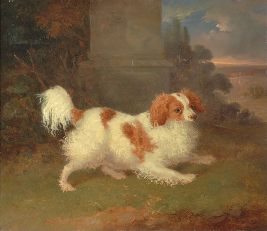 long-coated, white, brown, dog painting, william webb, painting, oil on canvas, artistic, nature, outside