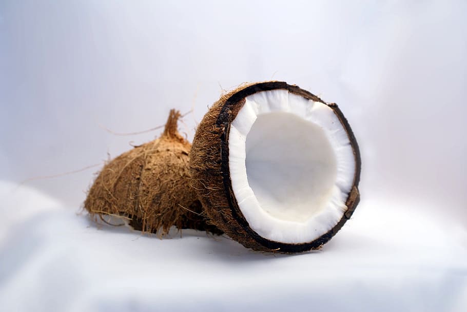 coconut, white, background, coconuts, exotic, sweet, nature, close-up, studio shot, single object