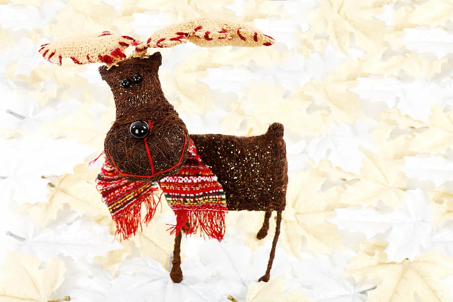 hewan, perayaan, natal, lucu, dekorasi, rusa, liburan, noel, rusa kutub, rudolf