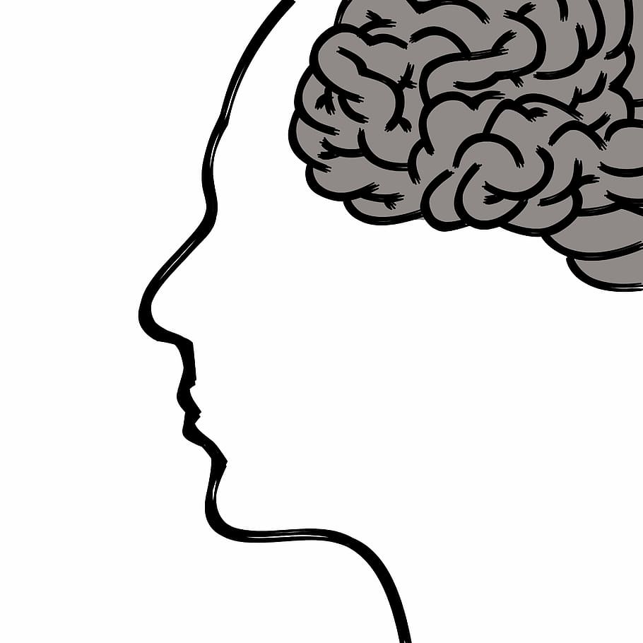 Ilustración del cerebro, cabeza, cerebro, pensamientos, cuerpo humano, cara, psicología, concentración, ideas, materia gris