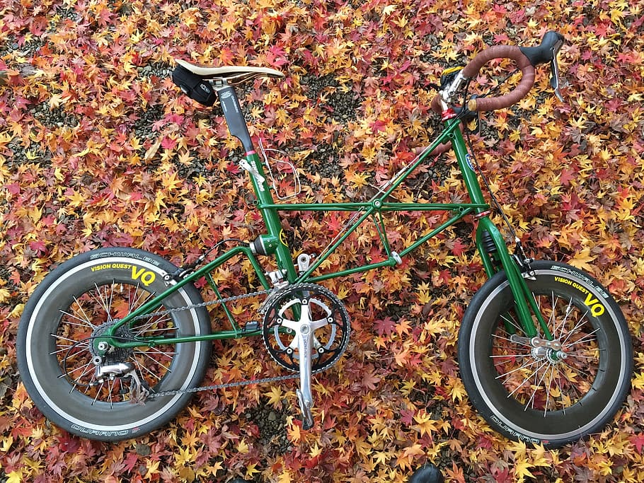 Bicicleta, coche pequeño, hojas caídas, aire libre, ciclismo, ciclo, rueda, deporte, naturaleza, transporte