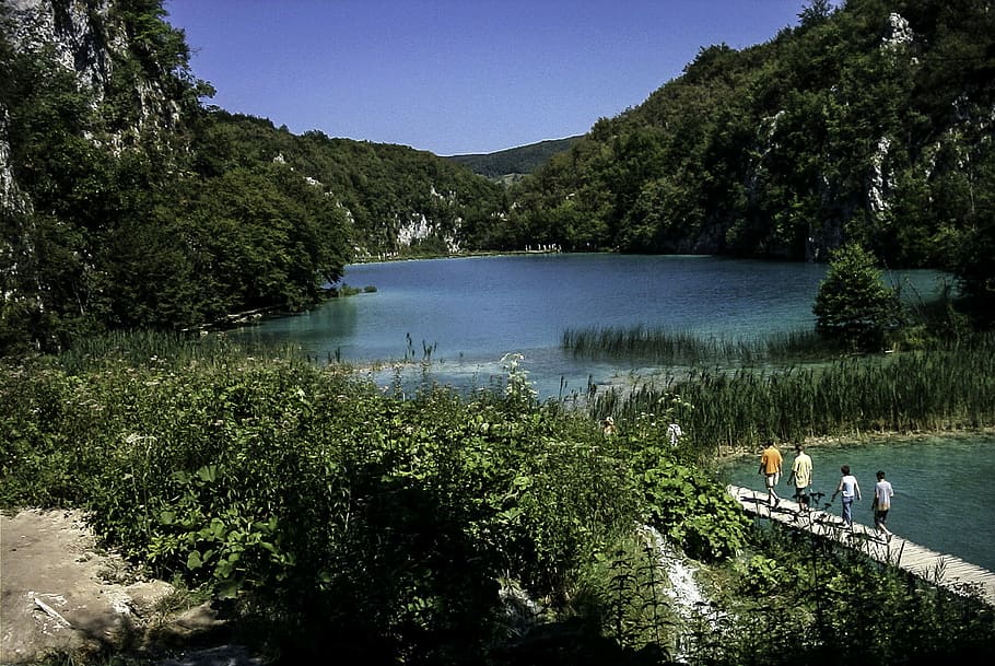 walking, wooden, footbridges, plitvice lakes, national, park, Walking on, Plitvice Lakes National Park, Croatia, lake