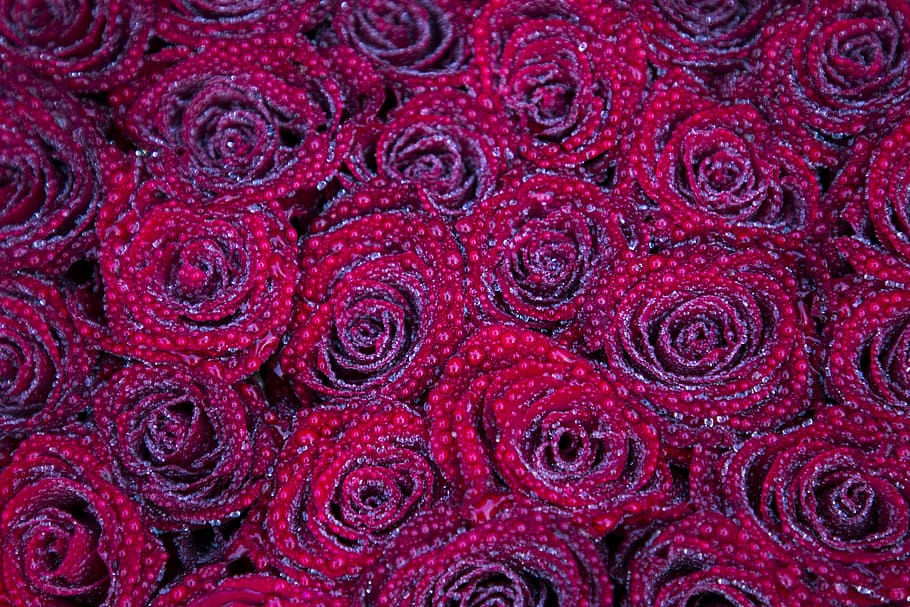 tekstil bunga merah muda, mawar, merah, bunga, karangan bunga, seikat bunga, latar belakang, bingkai penuh, hewan, tidak ada orang