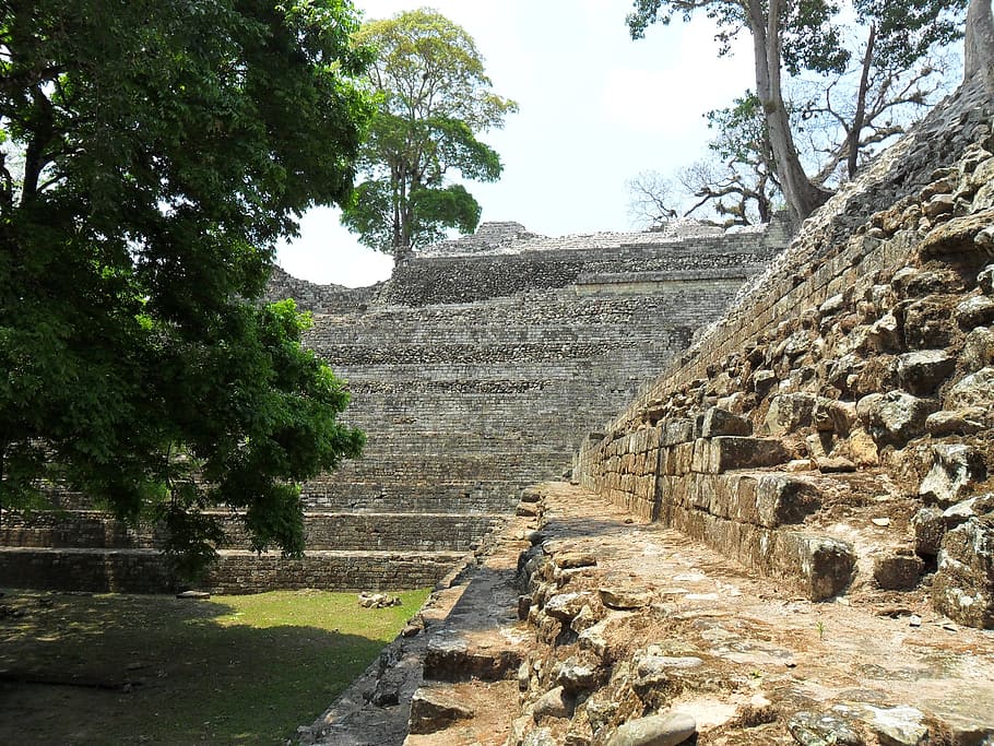 honduras, tourism, ruins, copán, stones, stelae, catrachos, tree, plant, architecture