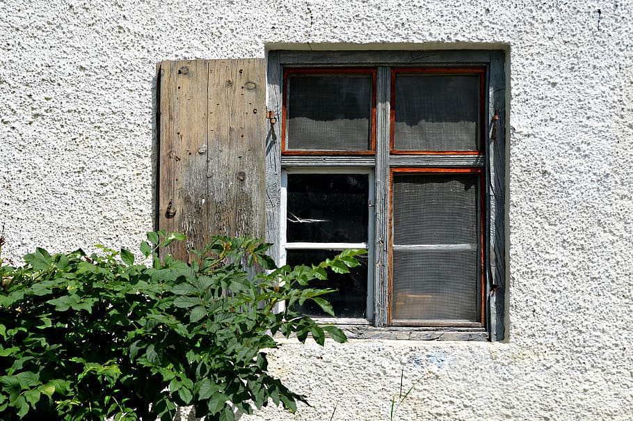 写真, 灰色, 茶色, 額縁, ガラス窓, 庭への窓, 古い窓, 崩壊, クモの巣, 壊れたガラス