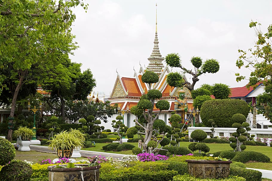 orange, white, shrine, surrounded, trees, bangkok, wat arun, thailand, temple, asia
