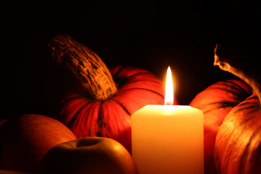white, votive, candle, pumpkins, pumpkin, halloween, autumn, light, halloweenkuerbis, evening