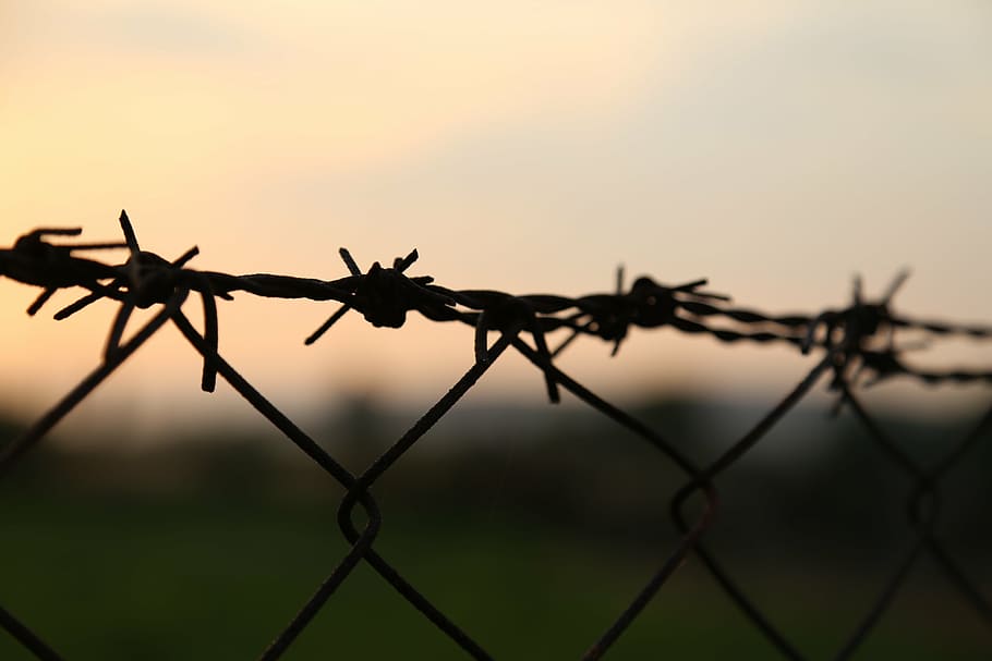 barbed wires, sunset, wire, barbed, protection, security, nature, old, barb, metal