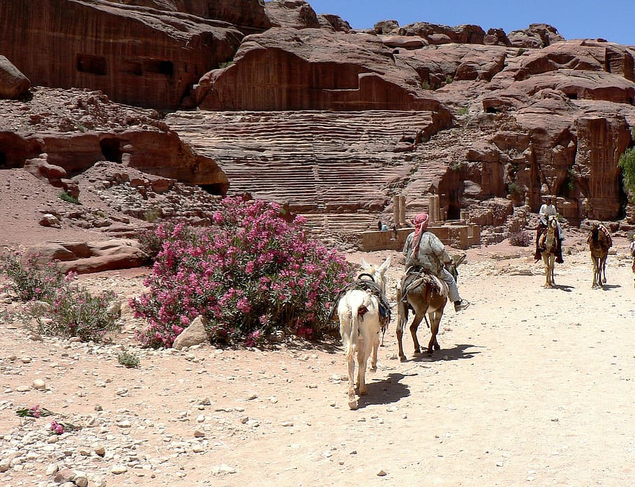 Jordan, Petra, Amphitheater, Roman, ruins, civilization, archaeology, path, donkeys, pink sandstone