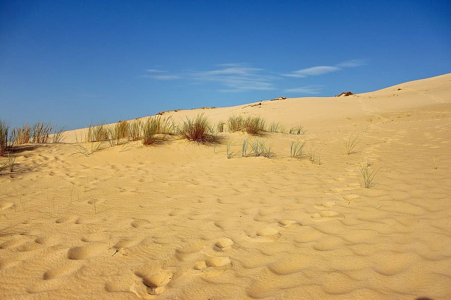 Sand, Dune, Pyla, Sand Dune, sand, dune, dune pyla you, sand beach, atlantic coast, beach, landscape