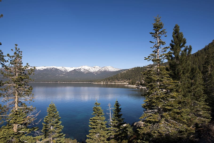 aerial, photography, lake, Lake Tahoe, California, Water, Mountains, lake tahoe, california, sky, trees