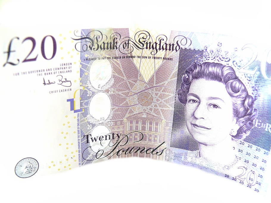 20 pounds banknote, Pounds, Queen, Shop, Shopping, twenty, business, salary, credit, work