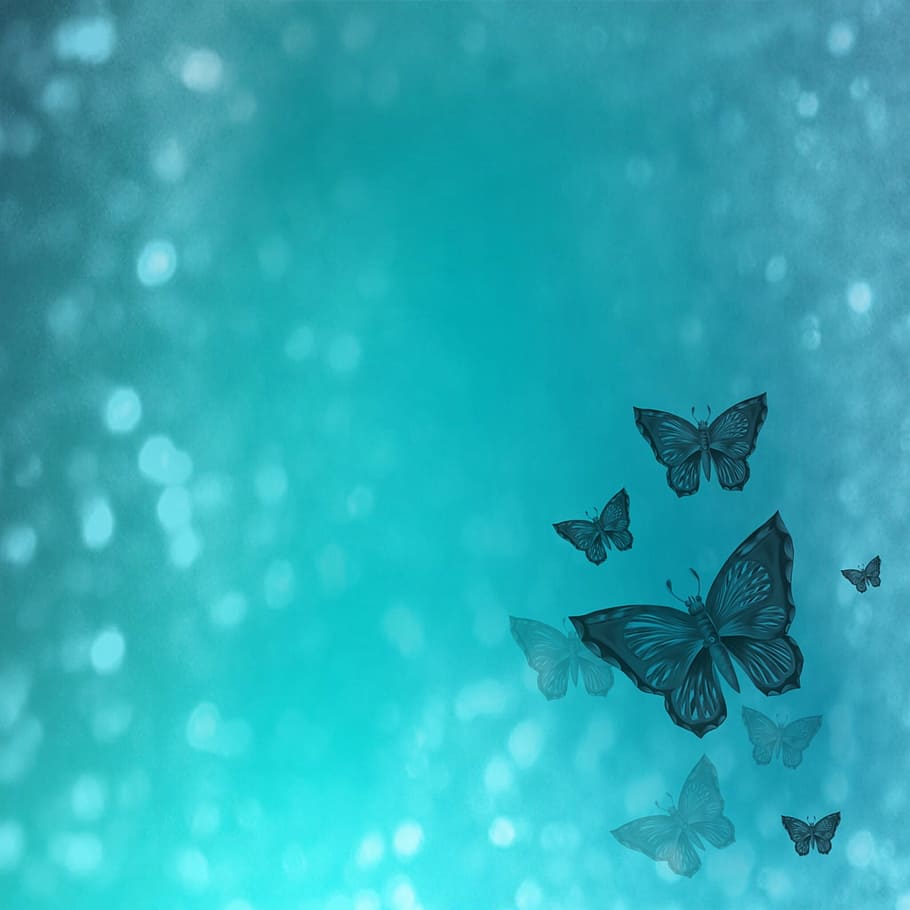background, map, butterfly, turquoise, christmas, blue, holiday, cold temperature, celebration, snowflake