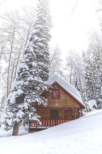 Royalty Free Log Cabin House Photos Free Download Pxfuel