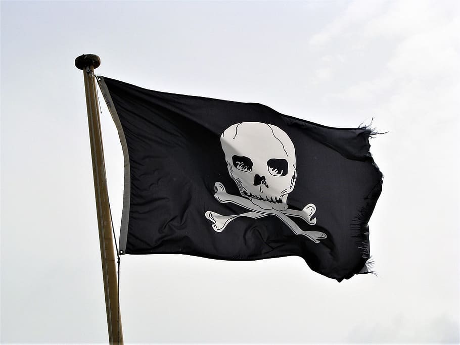 해적 깃발, 해적, 깃발, 두개골, 카리브 해, 변장, 마스크, 유령 같은, 공포, 마스크-변장