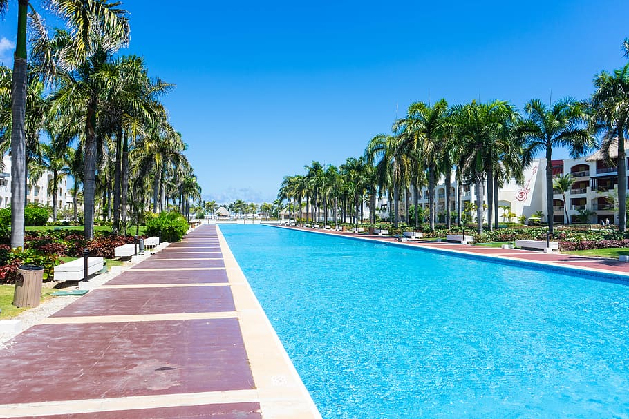 hotel, resort, piscina, natación, agua, árboles, isla, azul, lujo, vacaciones