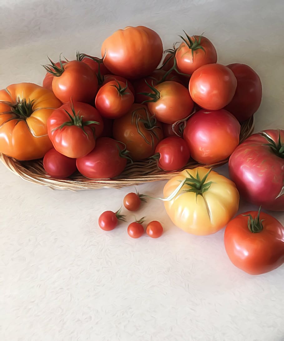 tomatoes, bounty, food, natural, ripe, vegetable, produce, tomato, food and drink, freshness