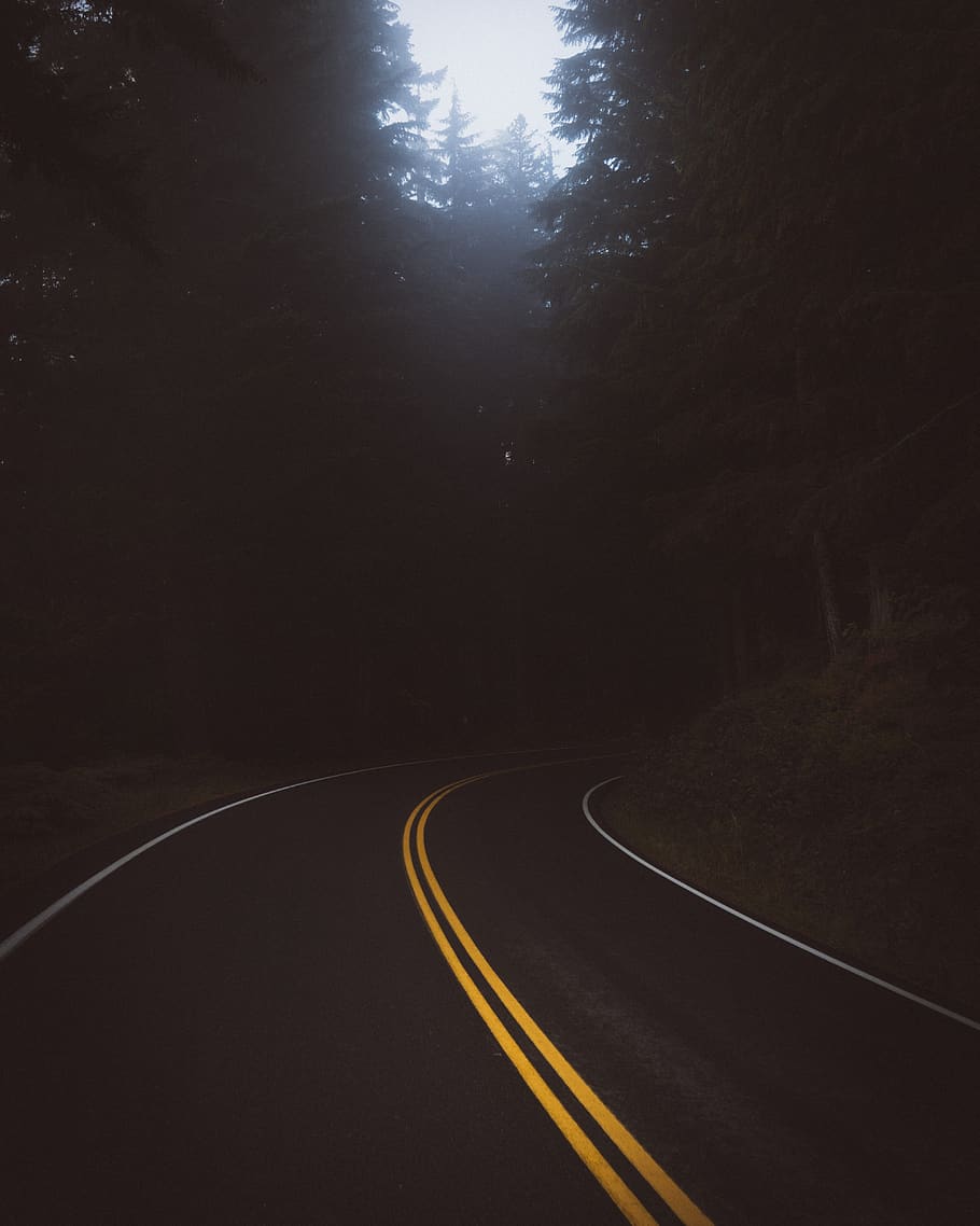 gelap, jalan, perjalanan, pohon, tanaman, jalan ke depan, angkutan, arah, tidak ada orang, marka jalan