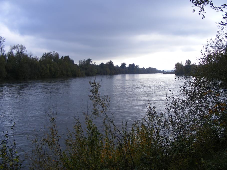 Río willamette, río, nubes, agua, puente, tarde, anochecer, planta, árbol, tranquilidad