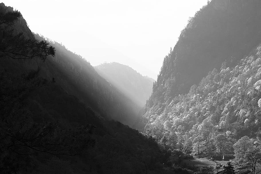 foto grayscale, gunung, jalan, pohon, grayscale, fotografi, hitam dan putih, bukit, alam, langit