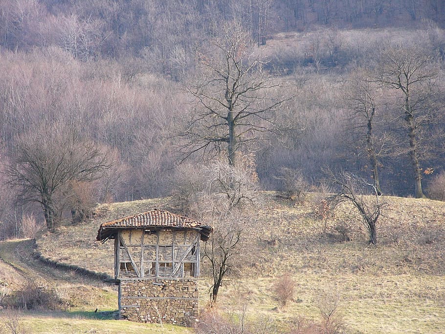 bulgaria, mountain, loft, village, hiking, old house, europe, smolsko, tree, nature