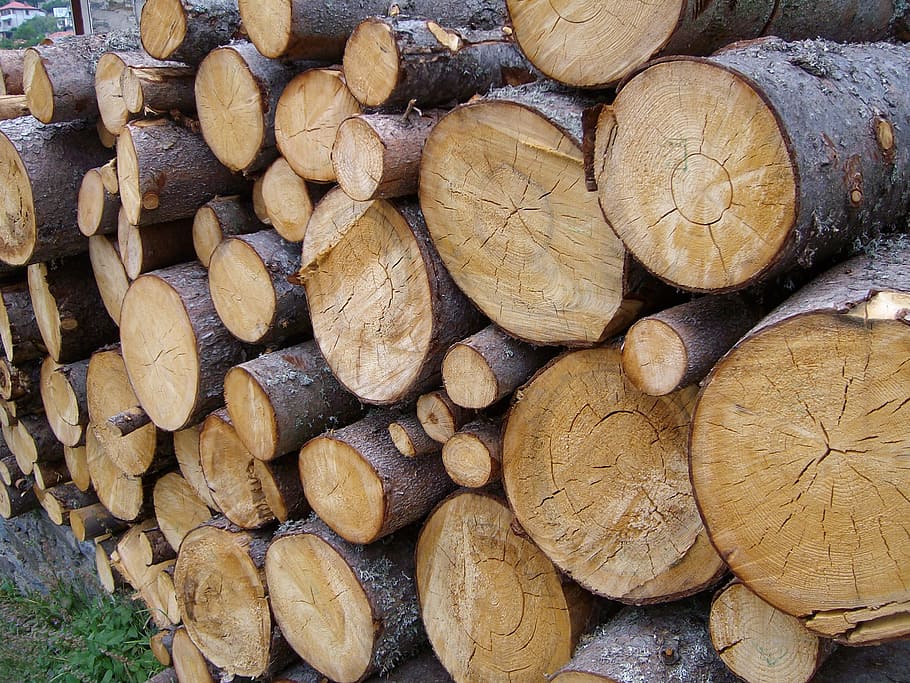 wood, timber, logging, material, hardwood, texture, brown, backdrop, lumber, oak